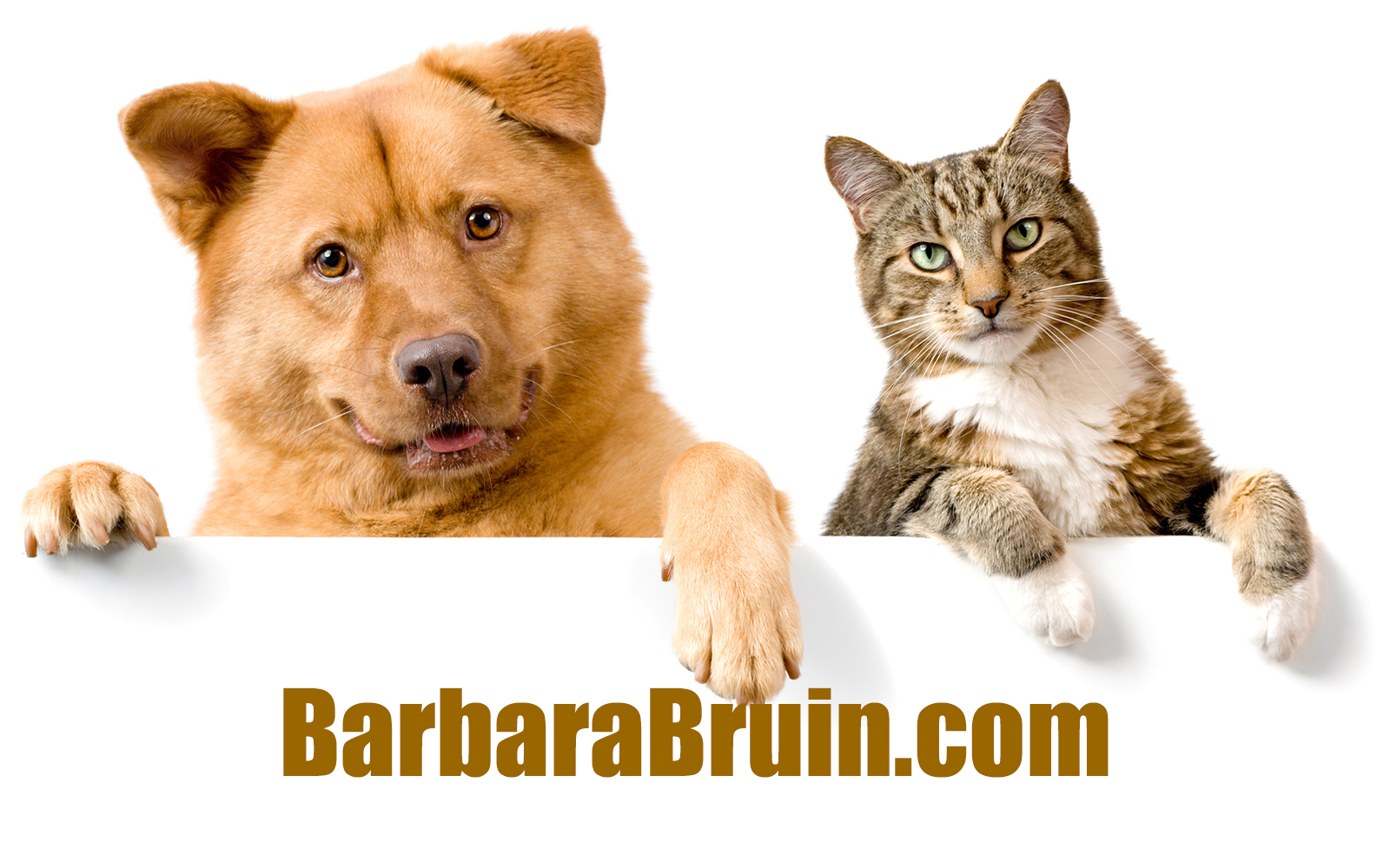 BarbaraBruin.com