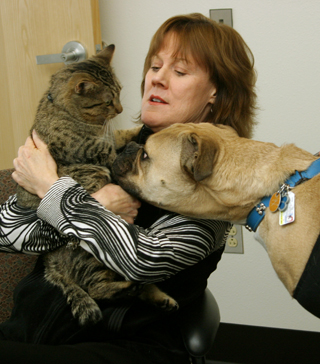 Travelin’ Jack, New Mexico’s Canine Travel Reporter Adopts Oscar the Cat!
