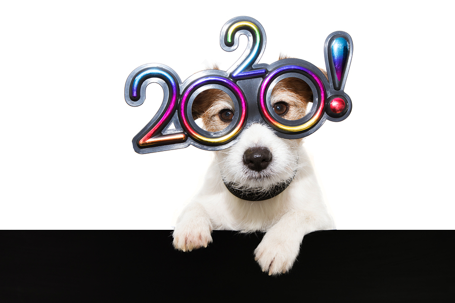New Year’s Resolutions for Pet Owners